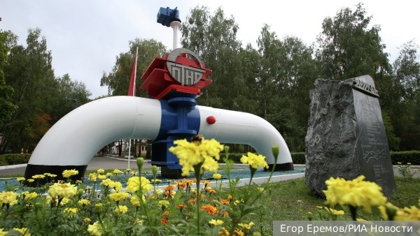     Фото: Егор Еремов/РИА Новости   
 Текст: Вера Басилая