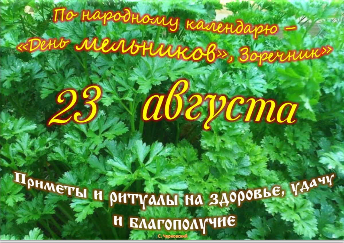 Встречаем новый день