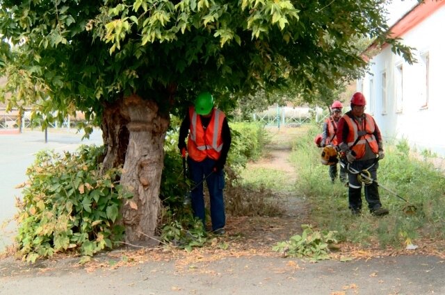    Фото: Уральская сталь