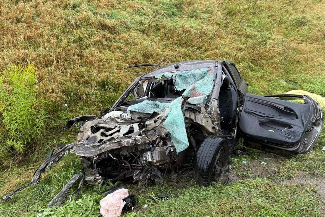     / Источник: © МВД России