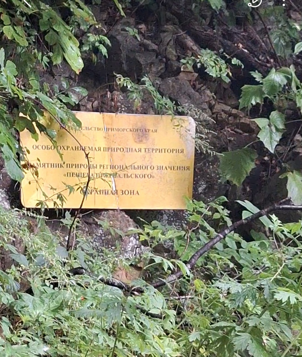 Настоящий памятник природы.