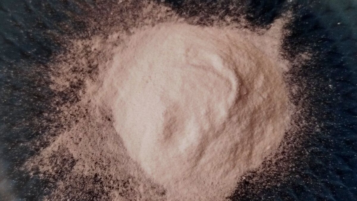    Фото: телеканал «Краснодар»