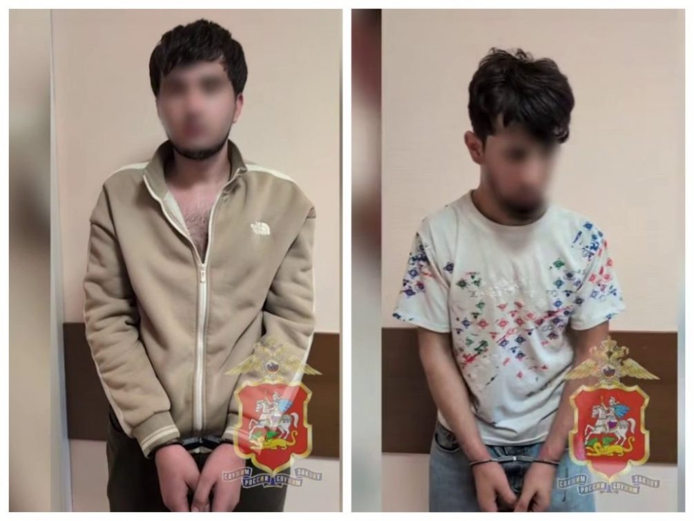    Задержанные по делу об избиении русского парня инородцы без следов задержания. Фото: пресс-служба ГУ МВД