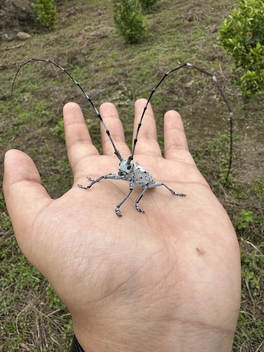 Источник: redd.it