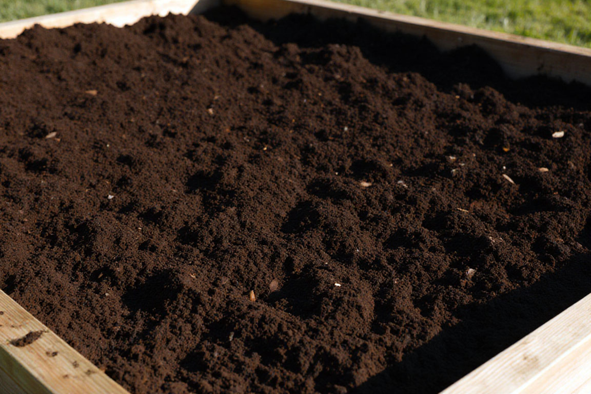 Начинаем с чистого листа: порядок вдохновляет.