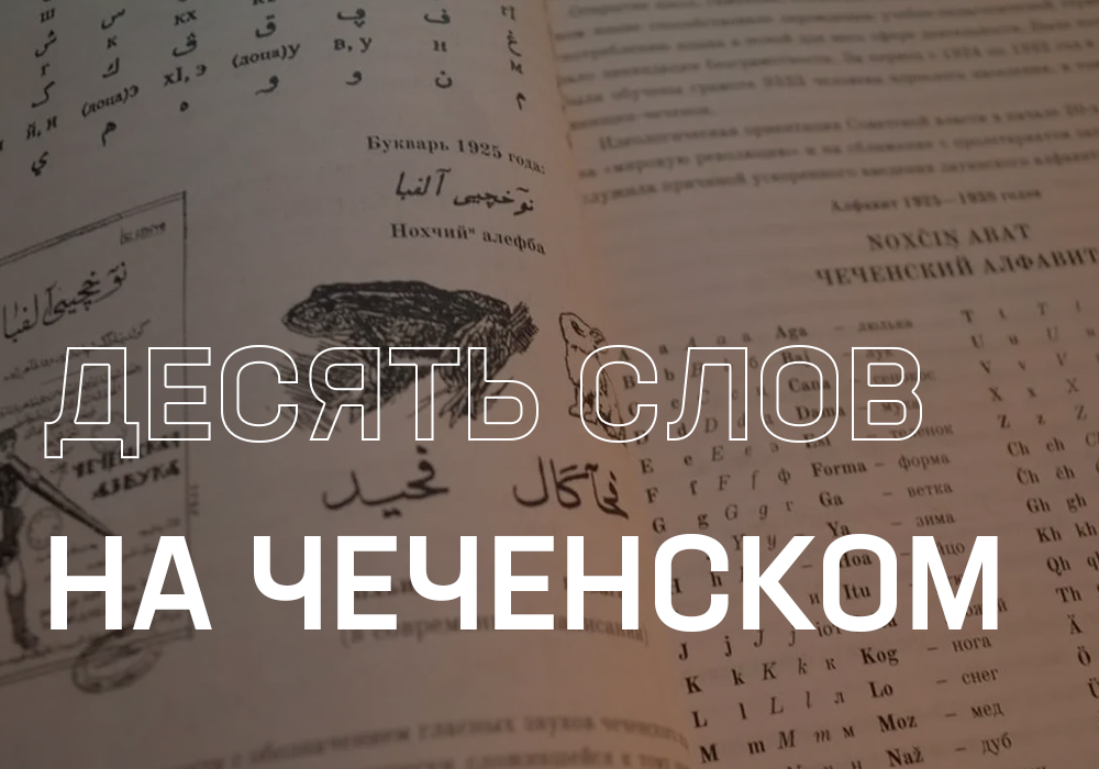 Фото: Чеченский государственный педагогический университет