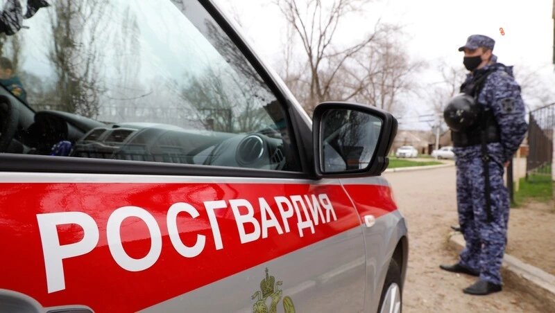      Фото: ИА «Победа26»