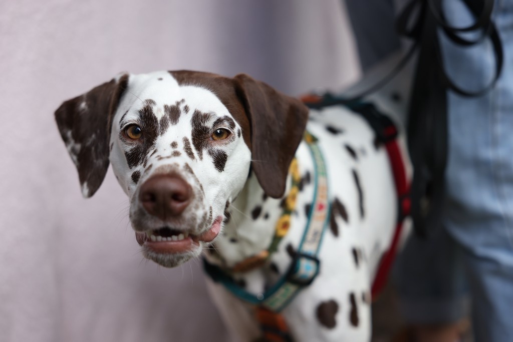    Фото © Всеволод Клещев/ Абзац