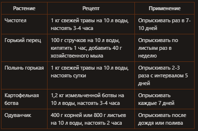 Борьба с колорадским жуком