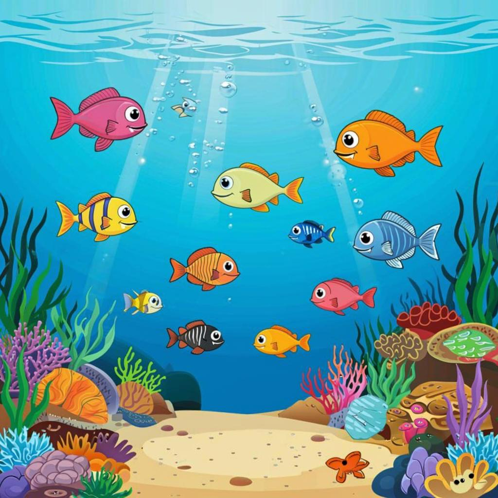 Море, океан, вода