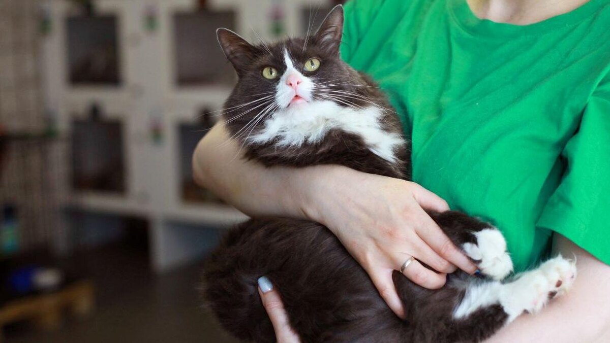    Фото: пресс-служба губернатора Санкт-Петербурга