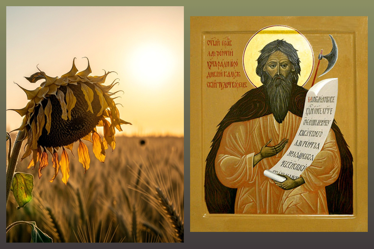 Блж. Лаврентий Калужский, Лето/pixabay.com