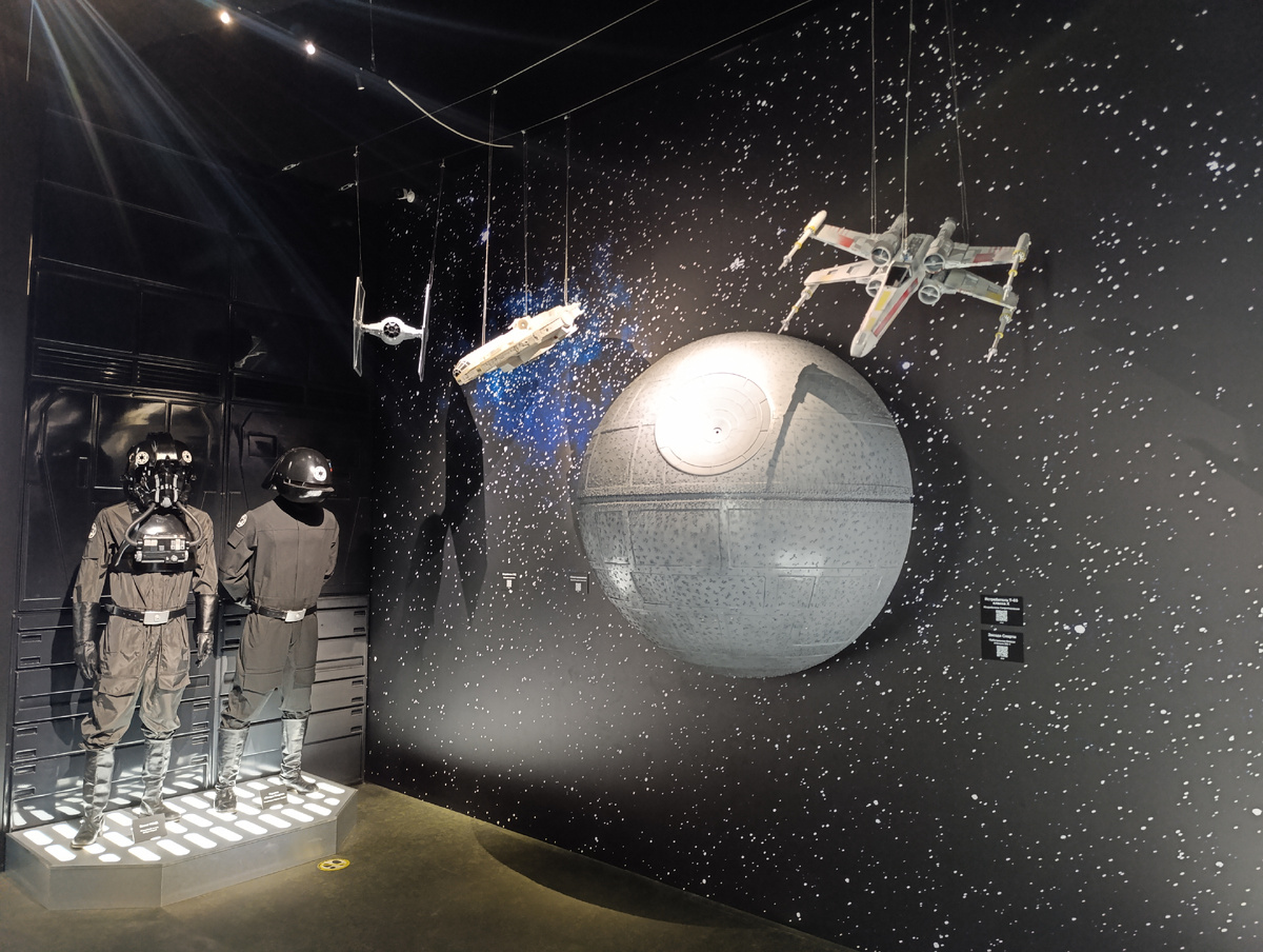 Фото автора. С выставки "В далёкой - далёкой галактике". ВДНХ. Май 2025