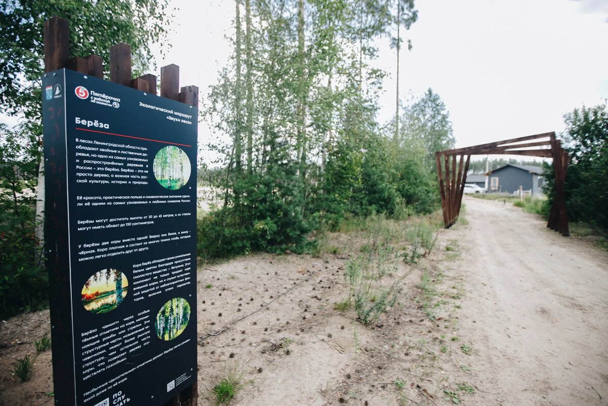    Фото предоставлены пресс-службой торговой сети «Пятёрочка»