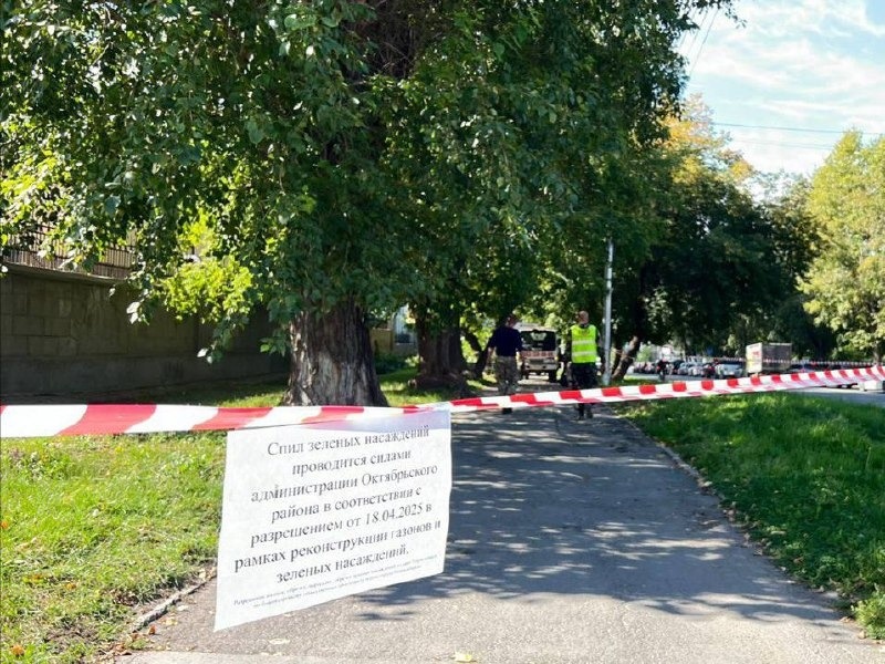    Фото: ТГ-канал мэрии Новосибирска