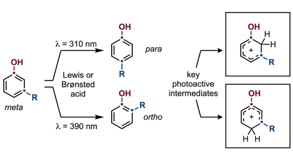   Maialen Alonso et al. / Nature Communications, 2025