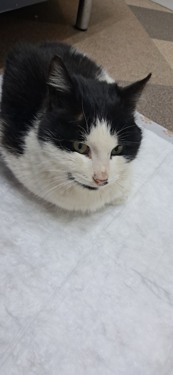 Первая встреча