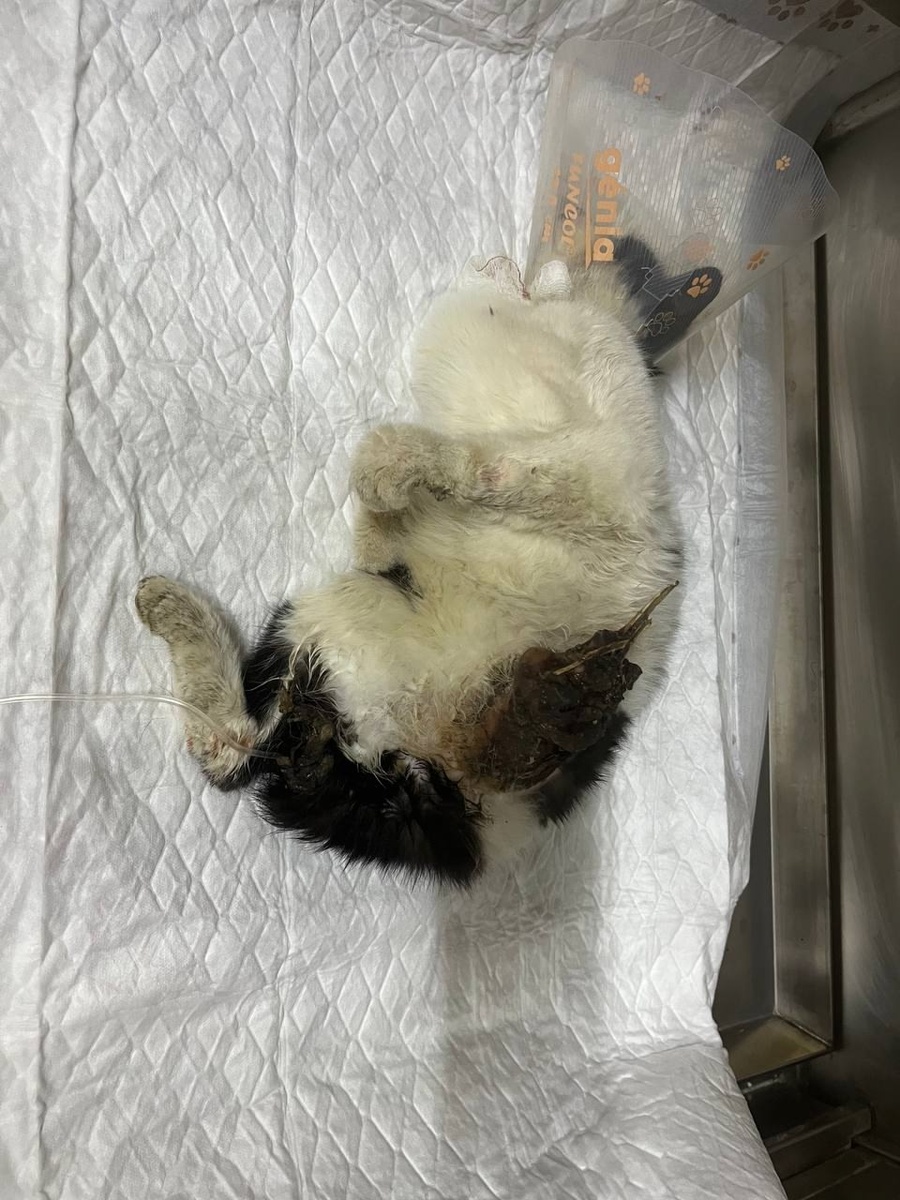 В стаицонаре