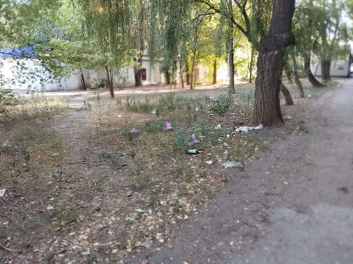 Русское поле, ул. С. Шило. Таганрог. Личное фото.