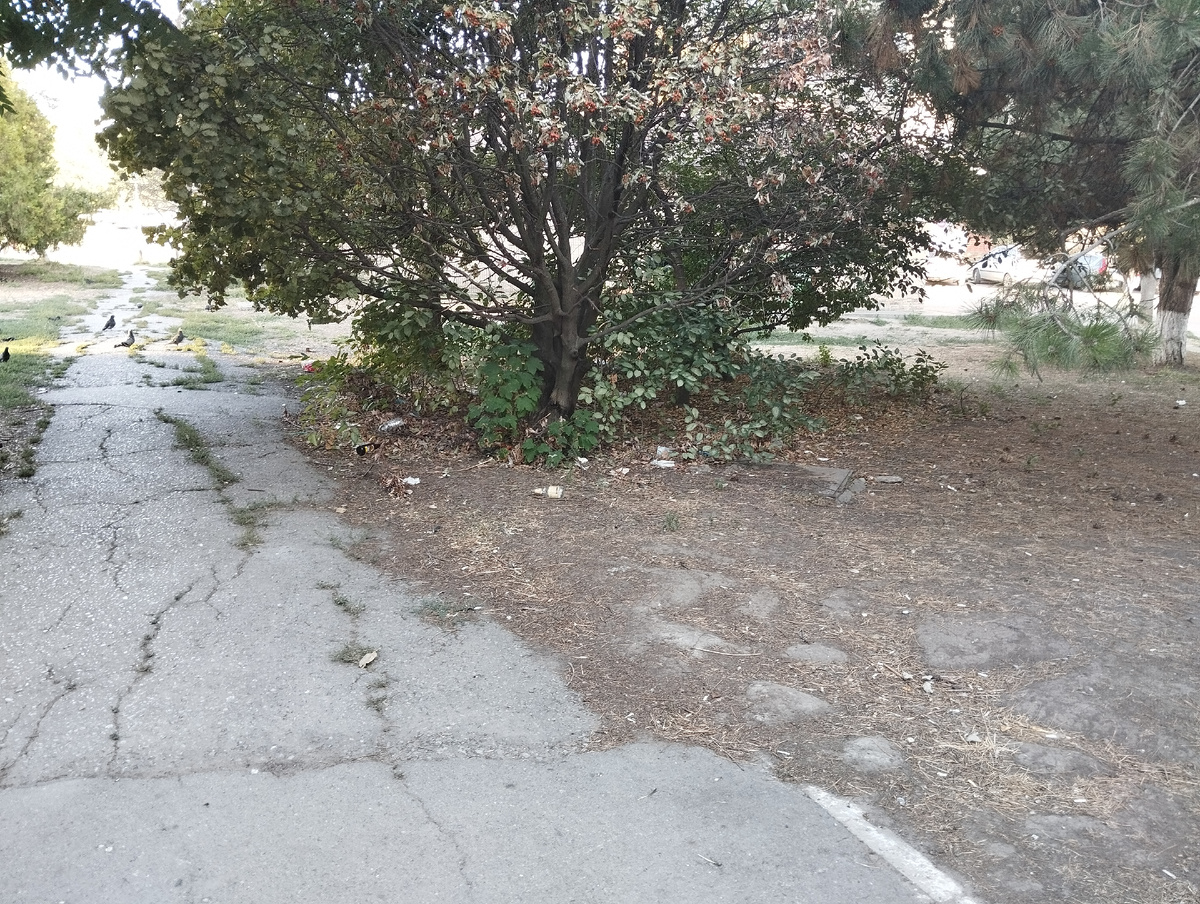 Русское поле, ул. С. Шило. Таганрог. Личное фото.