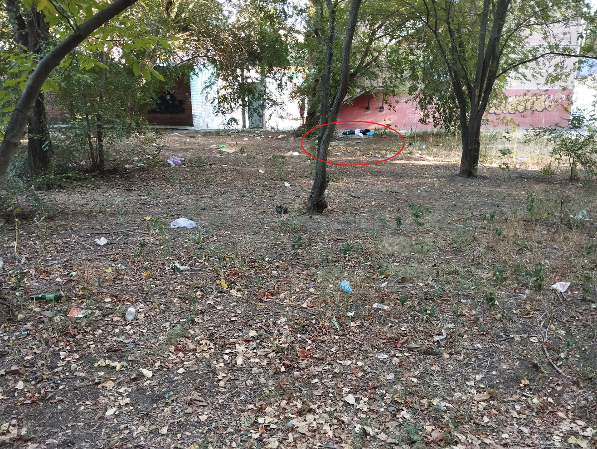 Русское поле, ул. С. Шило. Таганрог. Личное фото.