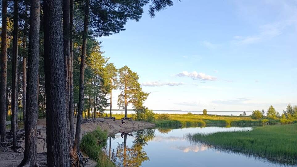 "Если никогда не пойдешь в лес, с тобой никогда ничего не случится…”