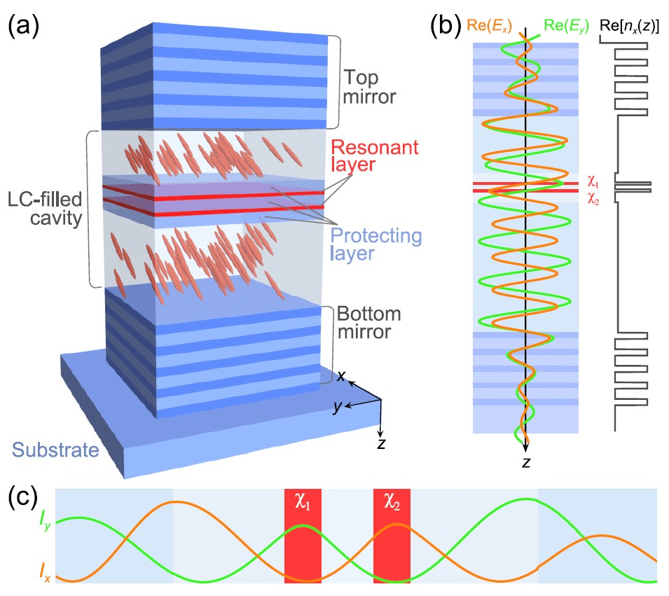    Архитектура квантового холста для независимого управления светом. (a) Трехмерная схема устройства, состоящего из двух зеркал и полости, заполненной жидким кристаллом с двумя активными перовскитными слоями (X₁ и X₂). (b) Профили стоячих световых волн для X-поляризации (оранжевый) и Y-поляризации (зеленый) внутри структуры. Из-за анизотропии жидкого кристалла их максимумы смещены. (c) Увеличенное изображение, демонстрирующее ключевой принцип: каждый активный слой расположен в максимуме интенсивности света «своей» поляризации и в минимуме «чужой». Такая «умная» геометрия обеспечивает независимое взаимодействие и позволяет управлять каждым поляризационным каналом отдельно, создавая сложные световые узоры / © E. Sedov and A. Kavokin, Physical Review A