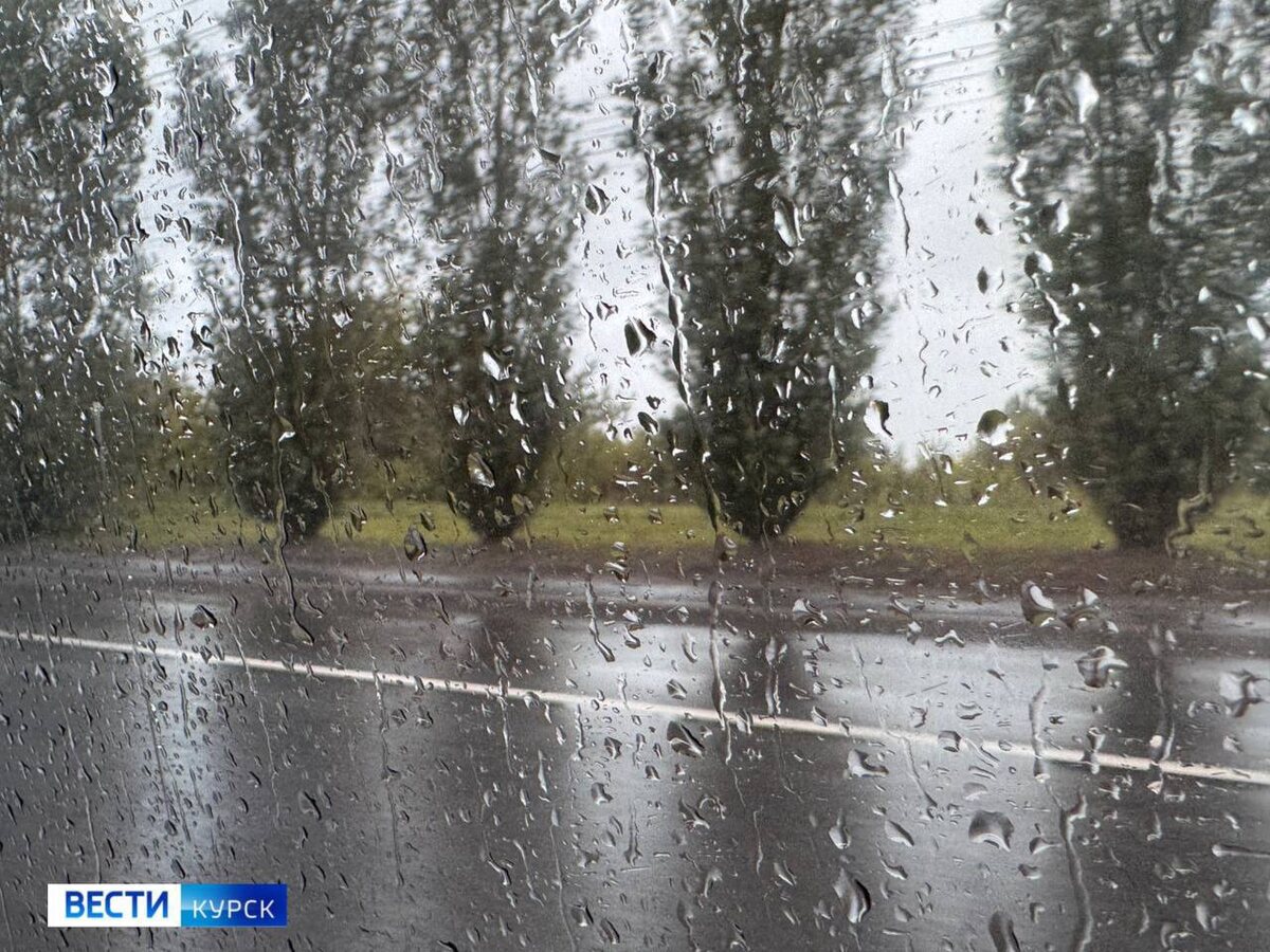    В Курске синоптики обещают туман