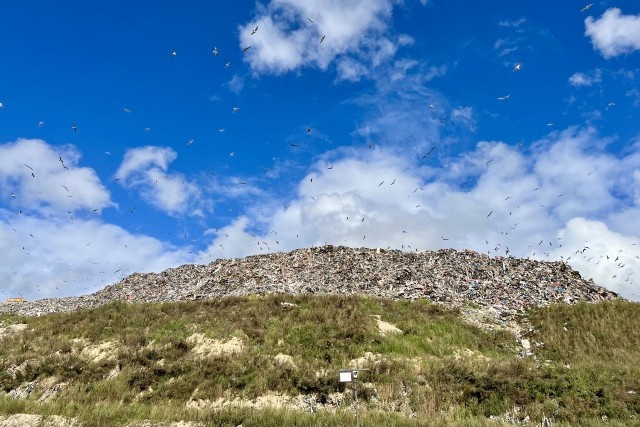   Фото: Калининград.Ru