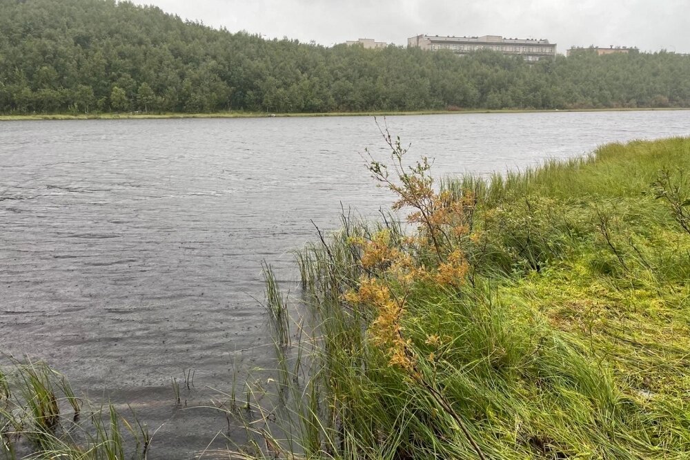    Фото: АиФ/ Александра Михова