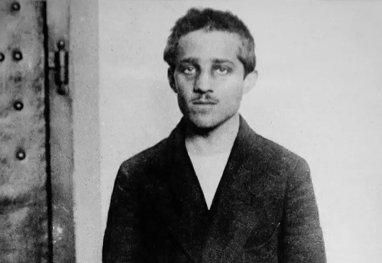 Дегенерат Гаврило Принцип, чьё преступление привело к гибели миллионов людей, если считать Вторую Мировую войну продолжением первой, то перед нами самый кровавый персонаж истории, причем, как смертоносная бацилла, совершенно безмозглый. Естественно, при всей любви и уважении к Его Величеству Николаю II, России никаким образом нельзя было вмешиваться или угрожать вмешательством в совершенное гиблое. во всех отношениях, дело. 