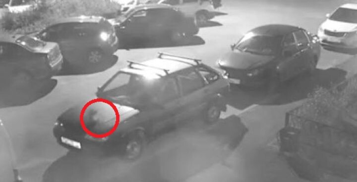    Фото: скриншот из видео