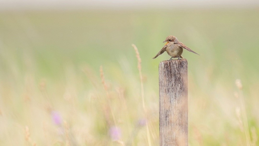 Источник: https://unsplash.com