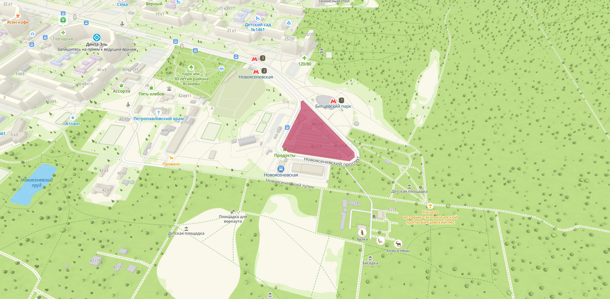 Пятно застройки ЖК Новоясеневский пр-т, 46