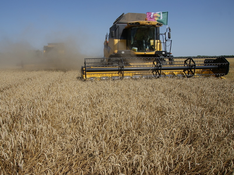    Земледельцы Новопокровского района собрали более 380 тысяч тонн зерна