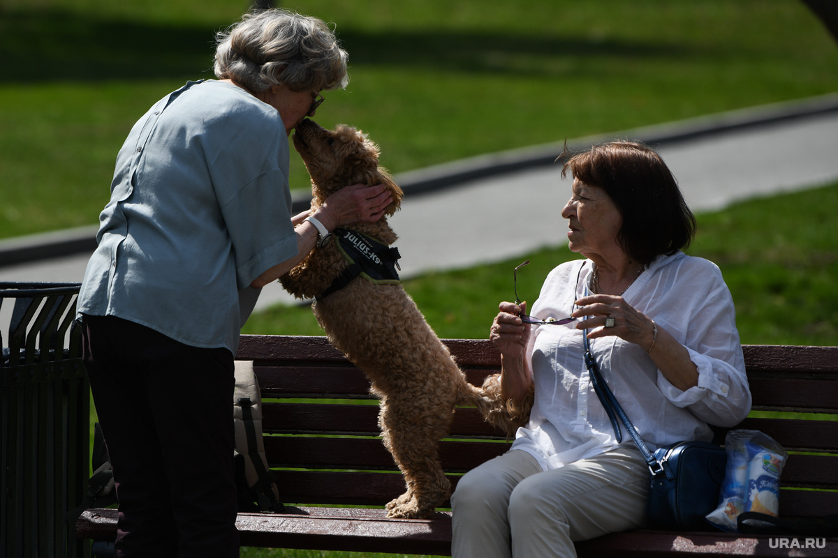 Фото: Владимир Жабриков © URA.RU