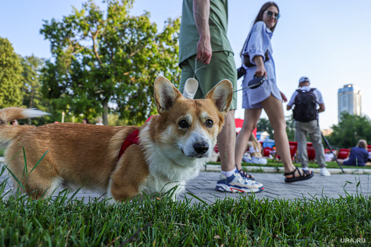 Фото: Размик Закарян © URA.RU