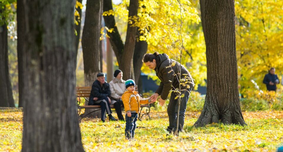    Медиасток.рф