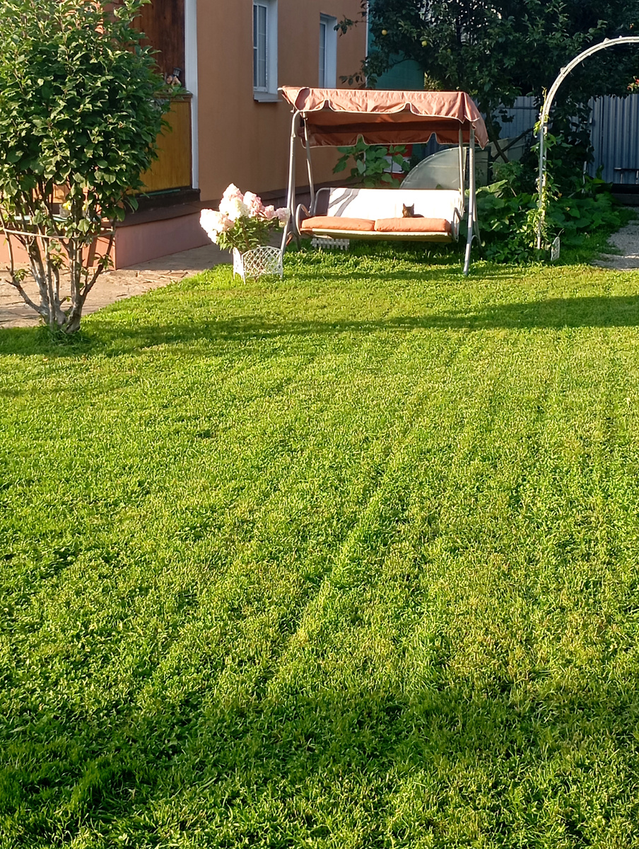 Травку побрили