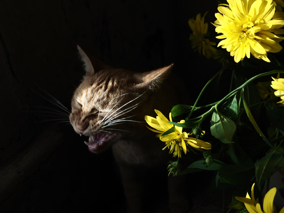 фото Надежды Павлючковой-Кочневой