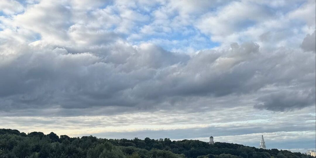 «Как искусственная елка»: жители Москвы о новой набережной в парке Коломенское