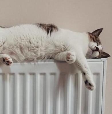    батарея // фото: babr24.com