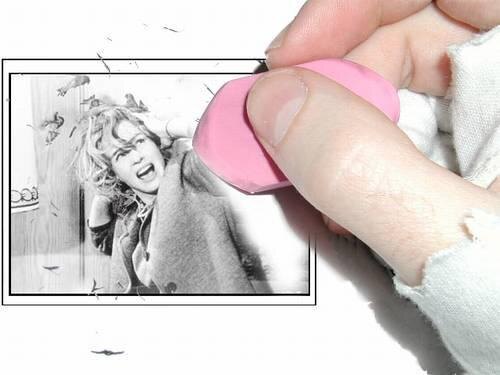 Фото из открытого доступа 