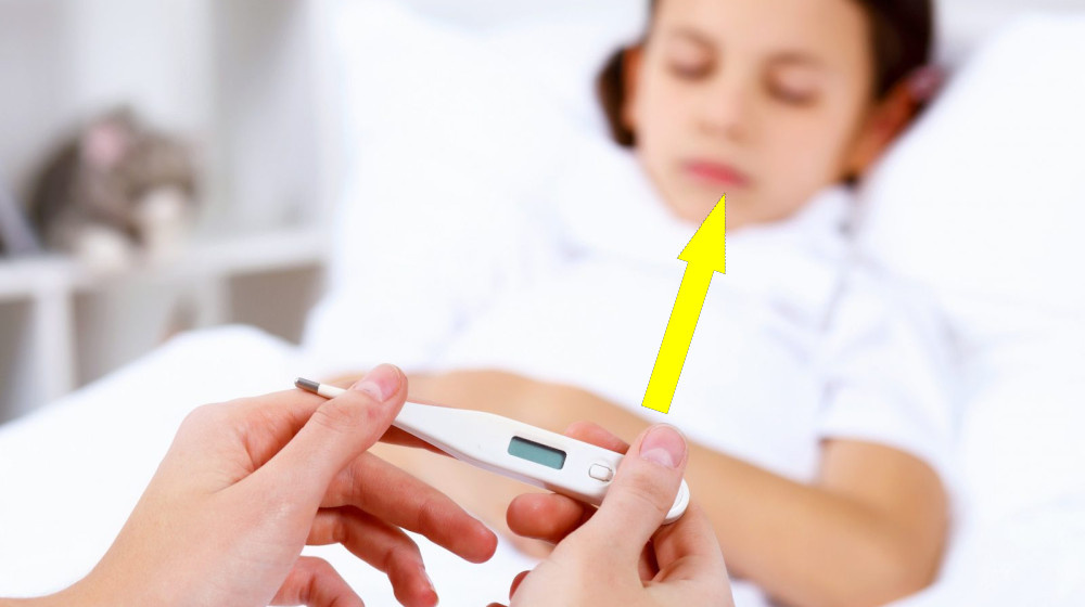    Почему высокая температура спасает организм и заставляет иммунитет работать на полную мощность