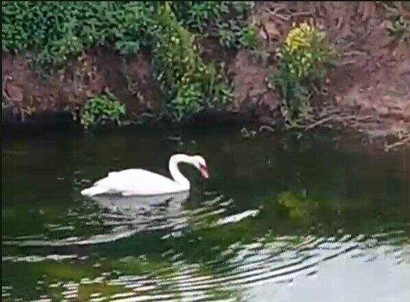 Фото: Госкомитет РТ по биоресурсам