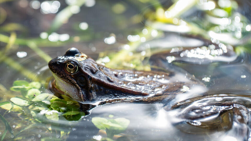 Фото: © www.globallookpress.com/Silas Stein/dpa