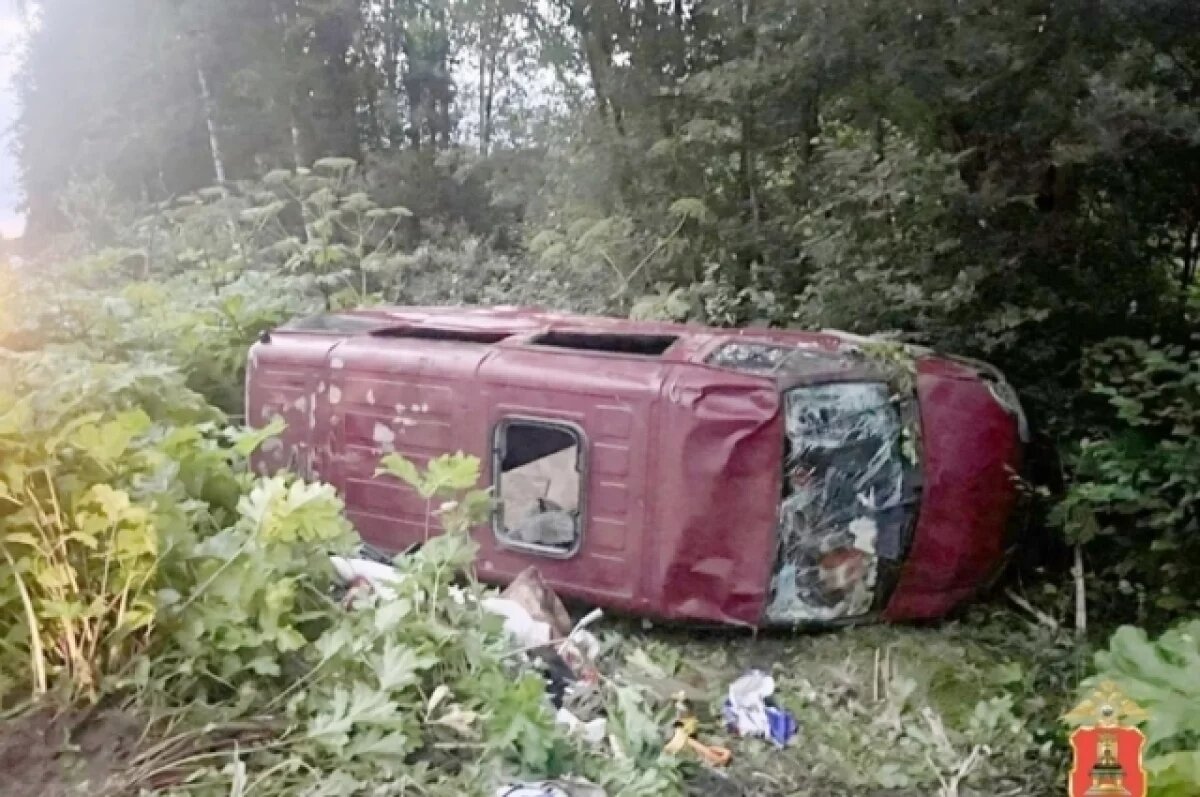    Под Кимрами полицейские помогли многодетному отцу после ДТП с лосем