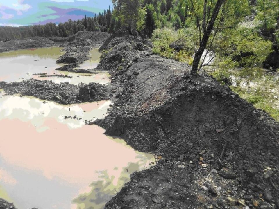    Загрязнение реки золотодобытчиками в Республике Алтай. Источник: Прокуратура Республики Алтай