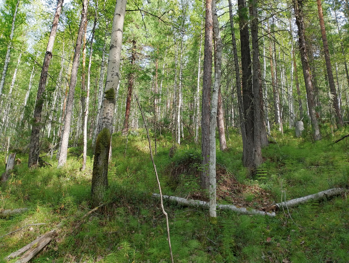 Фото 📷 автора.