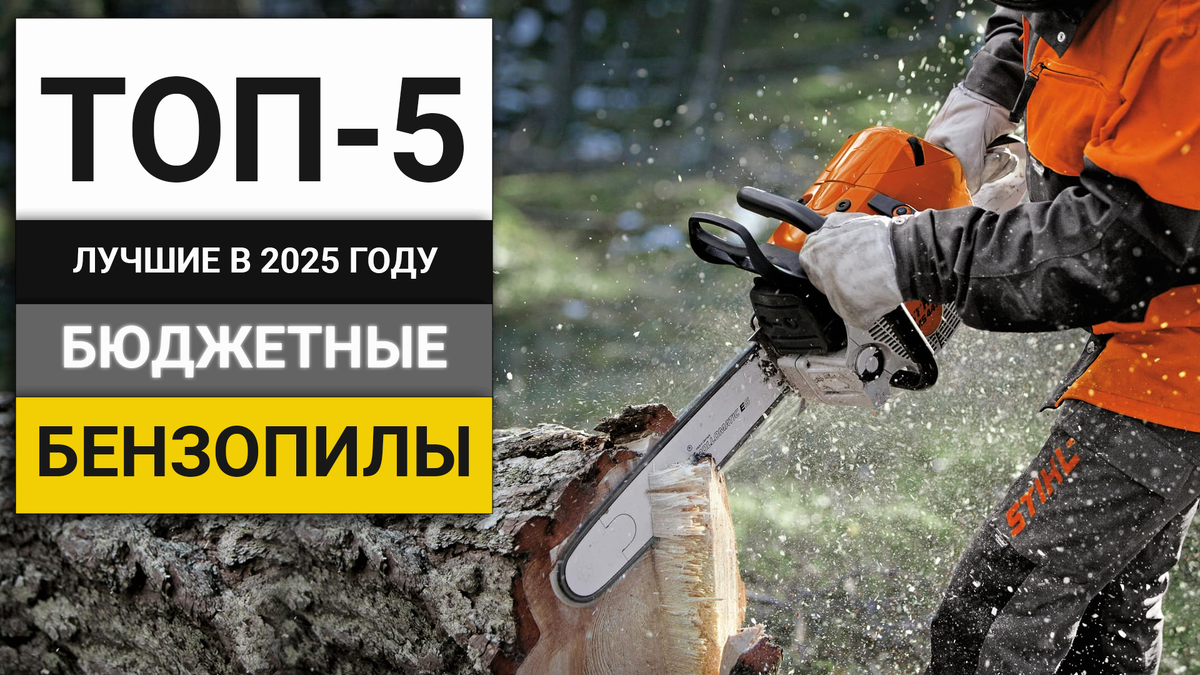 Лучшие бюджетные бензопилы до 10000 рублей | ТОП-5 в 2025 году